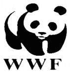 WWF (1)